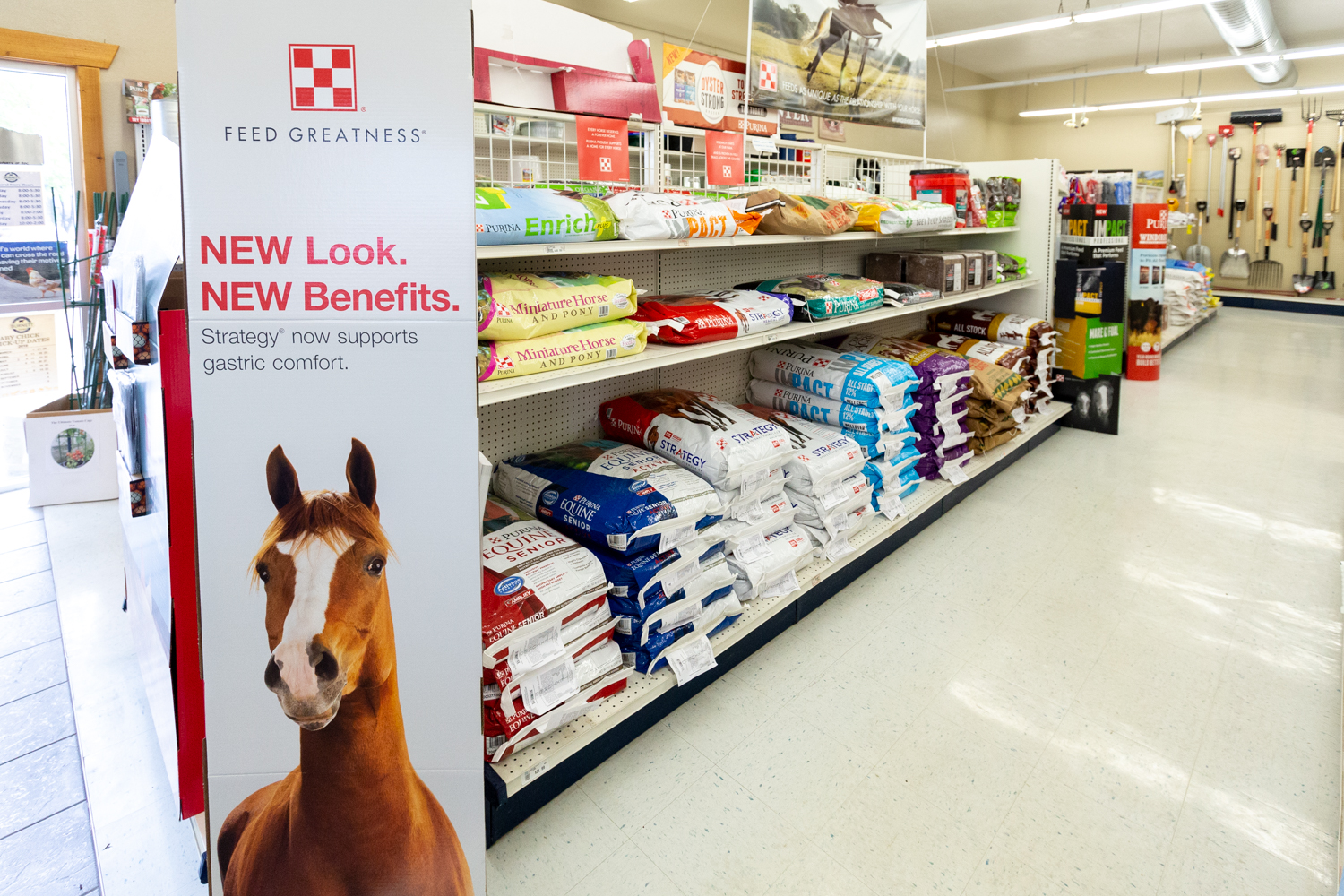 Store Row of Animal Feed